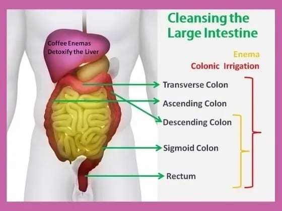 Essential Cleansing Center